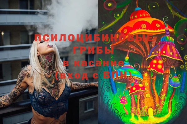 мдпв Надым