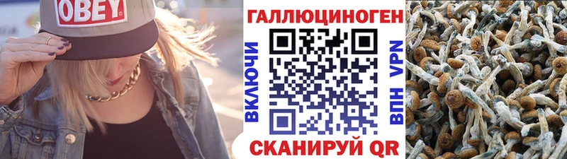 МЕГА ONION Туймазы Псилоцибиновые грибы Psilocybe