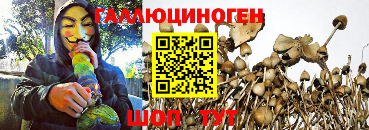 Псилоцибиновые грибы прущие грибы Туймазы