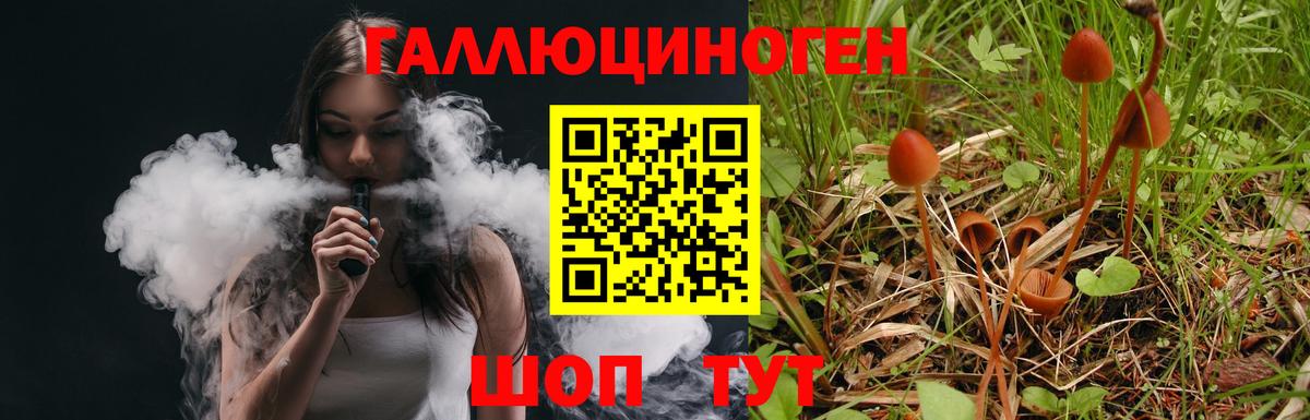 Псилоцибиновые грибы Psilocybine cubensis  Вход с VPN  Псилоцибиновые грибы прущие грибы  наркотики  Туймазы 