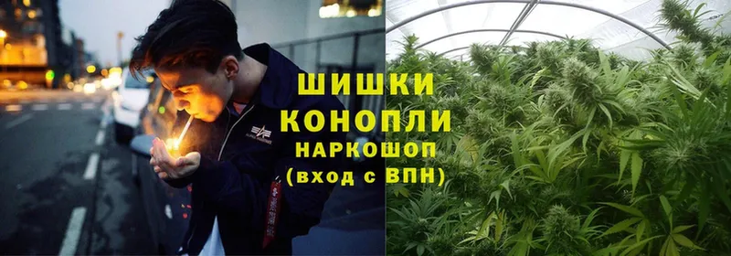 Бошки Шишки SATIVA & INDICA  Туймазы 